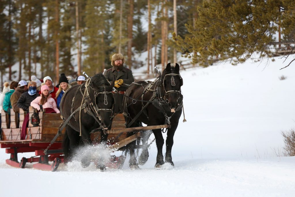 sleigh ride photo by bree hokona sleigh ride photo by bree hokona