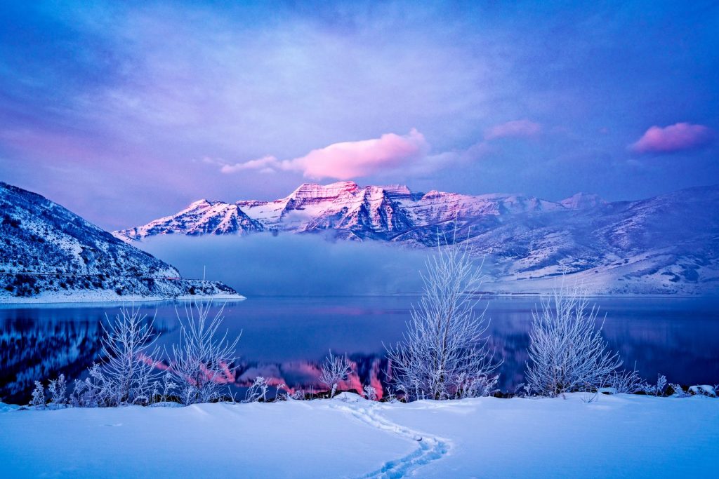 winter scene winter scene