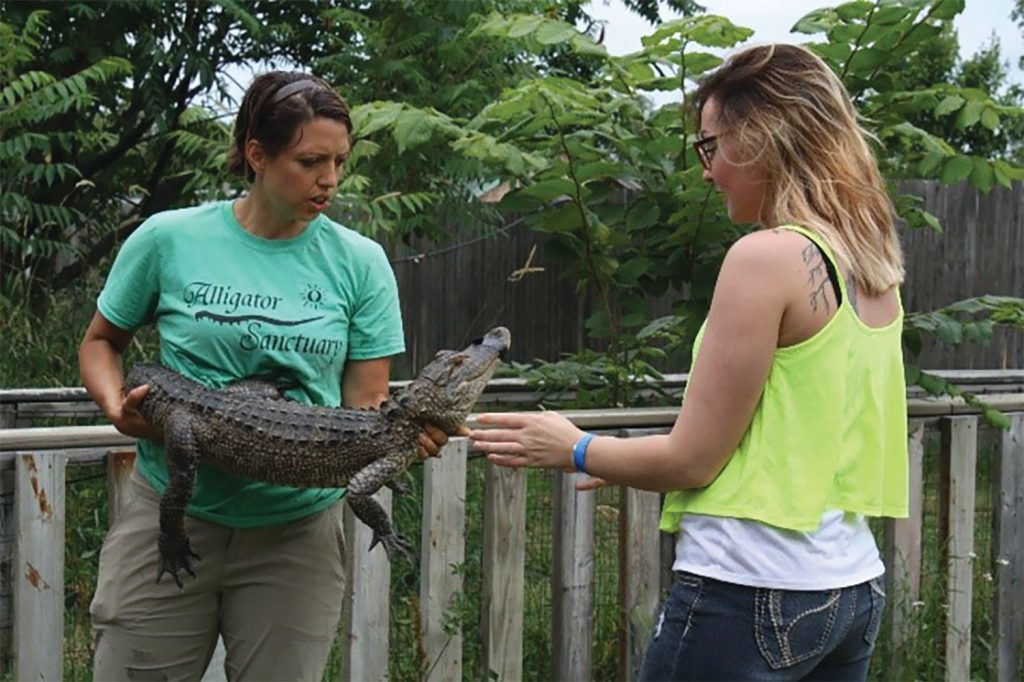 Coldwater County Alligator Sanctuary Coldwater County Alligator Sanctuary