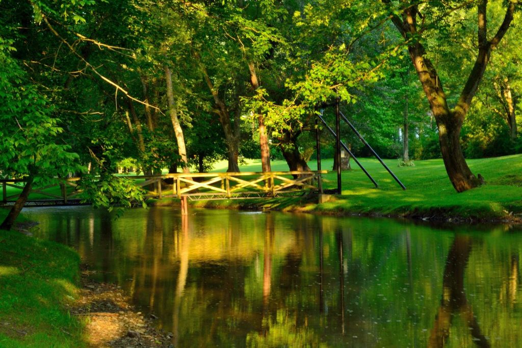 river in the park river in the park