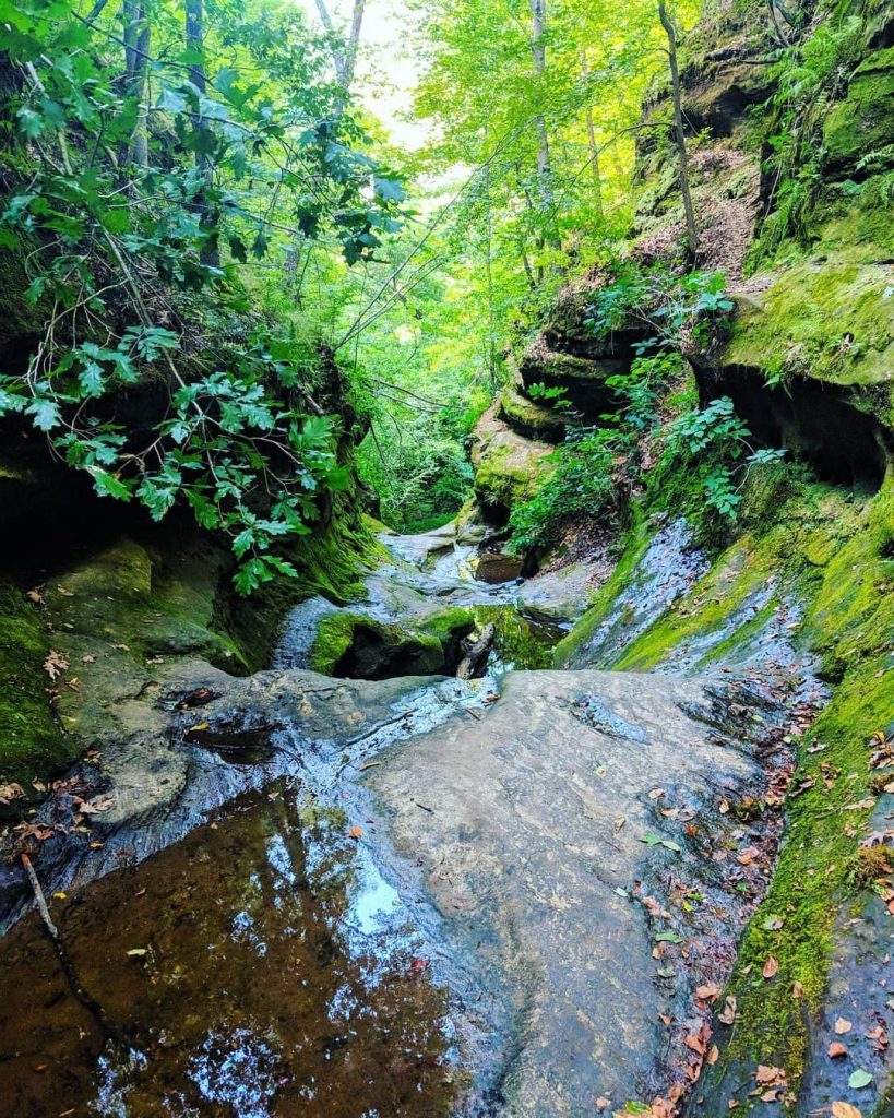 Shawnee National Forest Shawnee National Forest