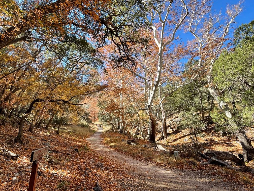 ramsey canyon ramsey canyon