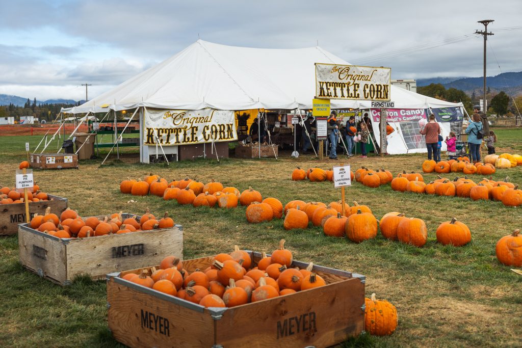 Fort Vannoy Pumpkins Fort Vannoy Pumpkins