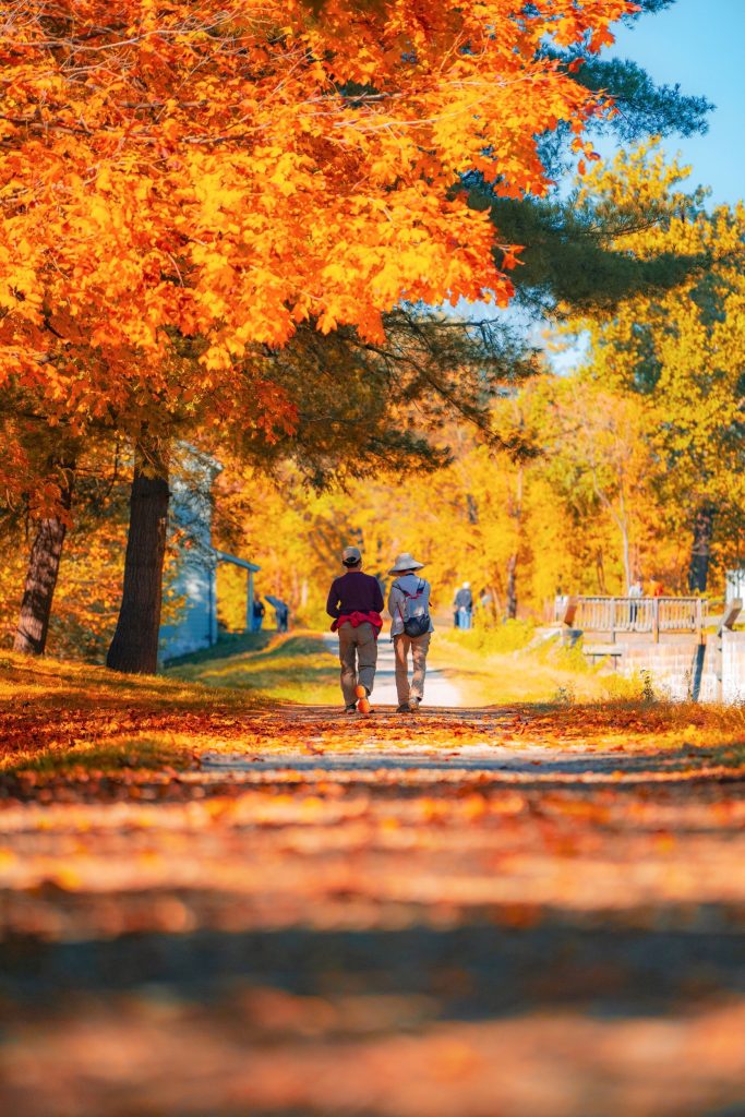 C&O Canal Towpath - Photo by Scott Cantner C&O Canal Towpath - Photo by Scott Cantner
