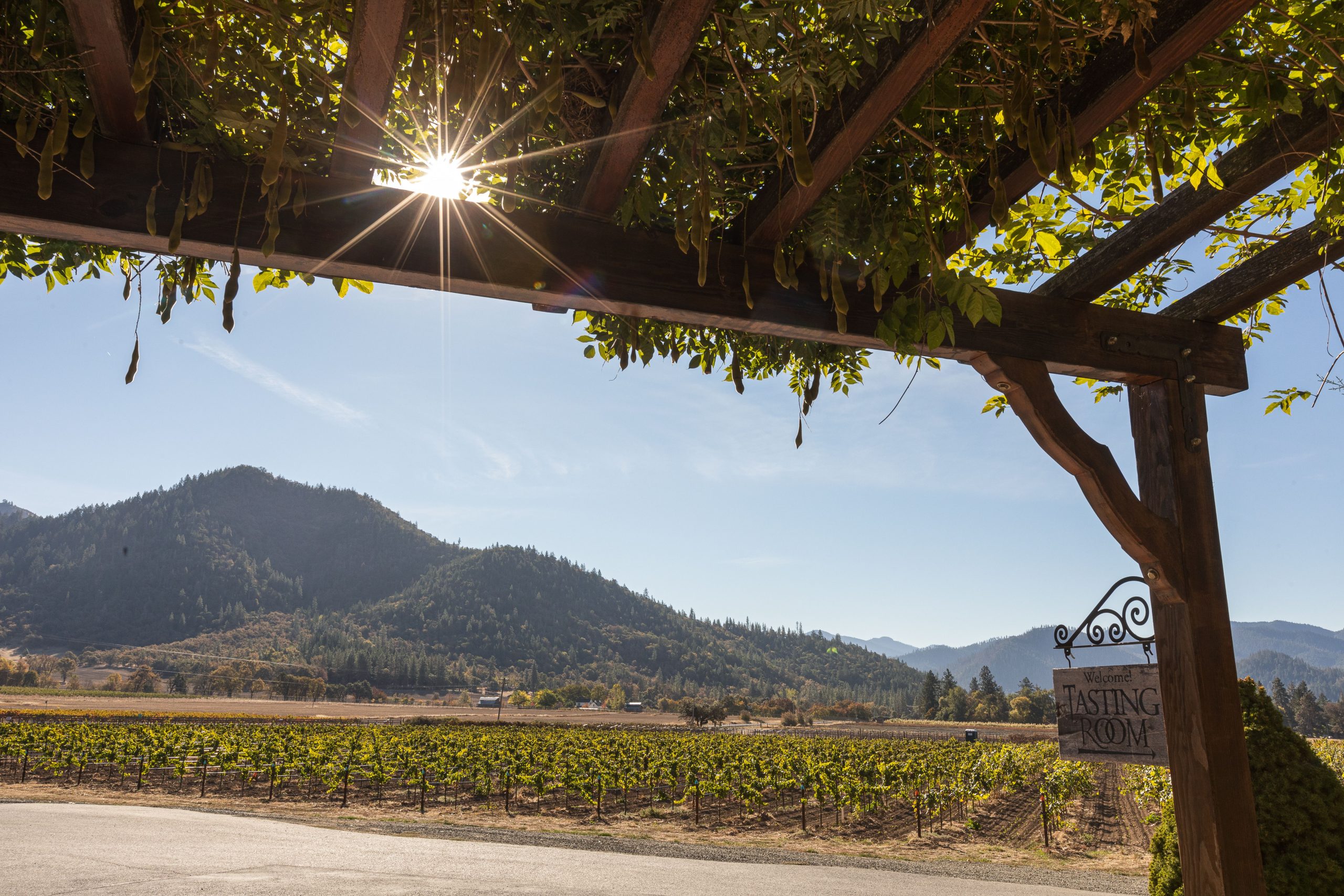 Troon Vineyard Tasting Patio Grants Pass Troon Vineyard Tasting Patio Grants Pass