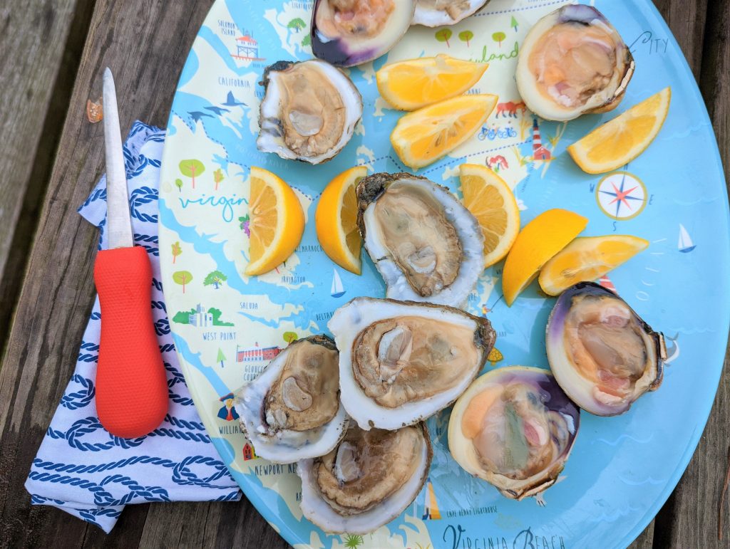 oysters oysters