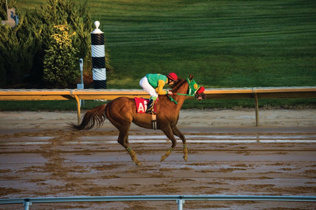 horse racing horse racing
